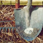 “Percorsi di Formazione per Coltivare la Passione Lavorativa”